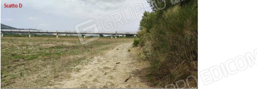 Terreno in c.da Marone, c.da Marone, snc a Tursi — asta giudiziaria — fotografia 7