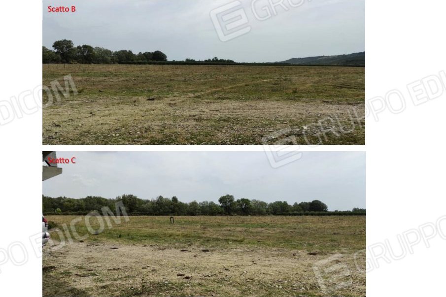 Terreno in c.da Marone, c.da Marone, snc a Tursi — asta giudiziaria — fotografia 4