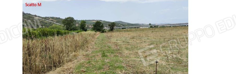 Terreno in c.da Marone, c.da Marone, snc a Tursi — asta giudiziaria — fotografia 12
