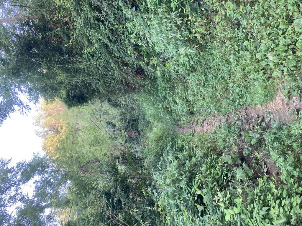 Terreno a Carobbio degli Angeli, Bergamo