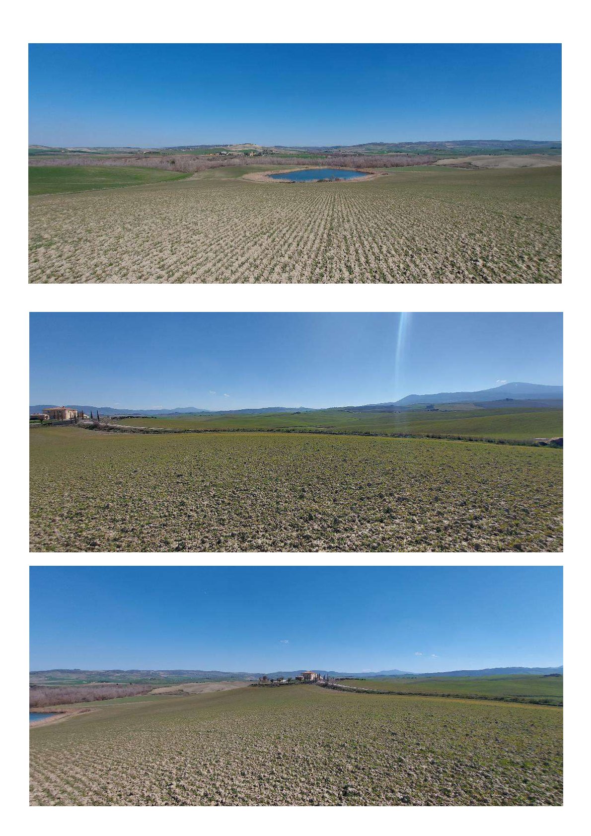 Terreno a Castiglione d'Orcia, Siena