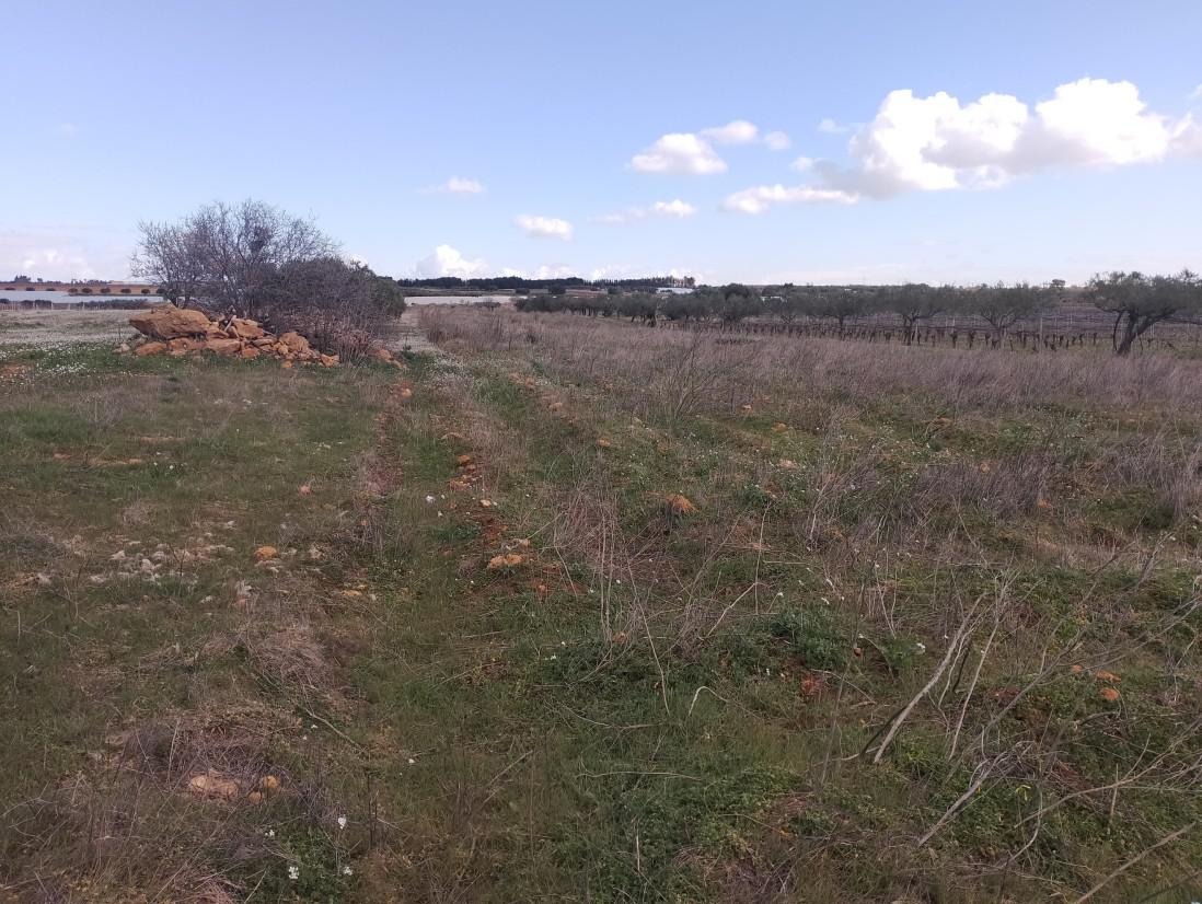 Terreno a Mazara del Vallo, Trapani