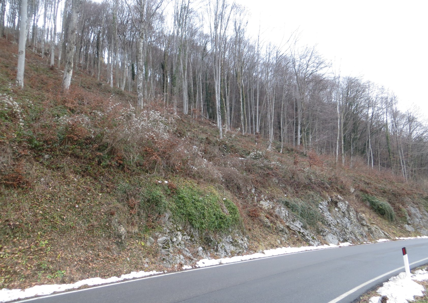 Terreno a Costa Valle Imagna, Bergamo