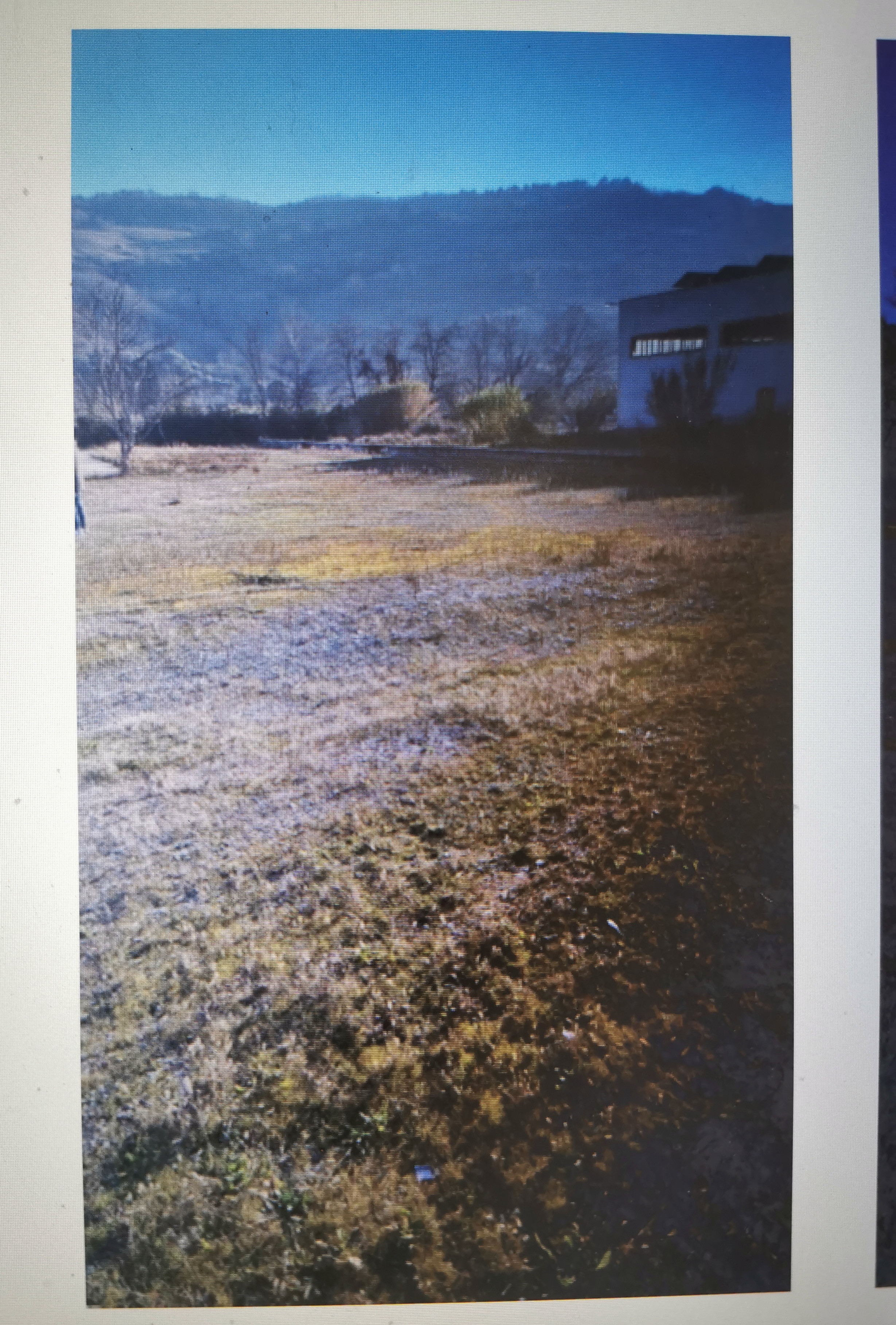 Terreno a Ripatransone, Ascoli Piceno