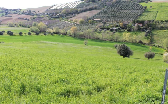 Terreno a Lapedona, Fermo