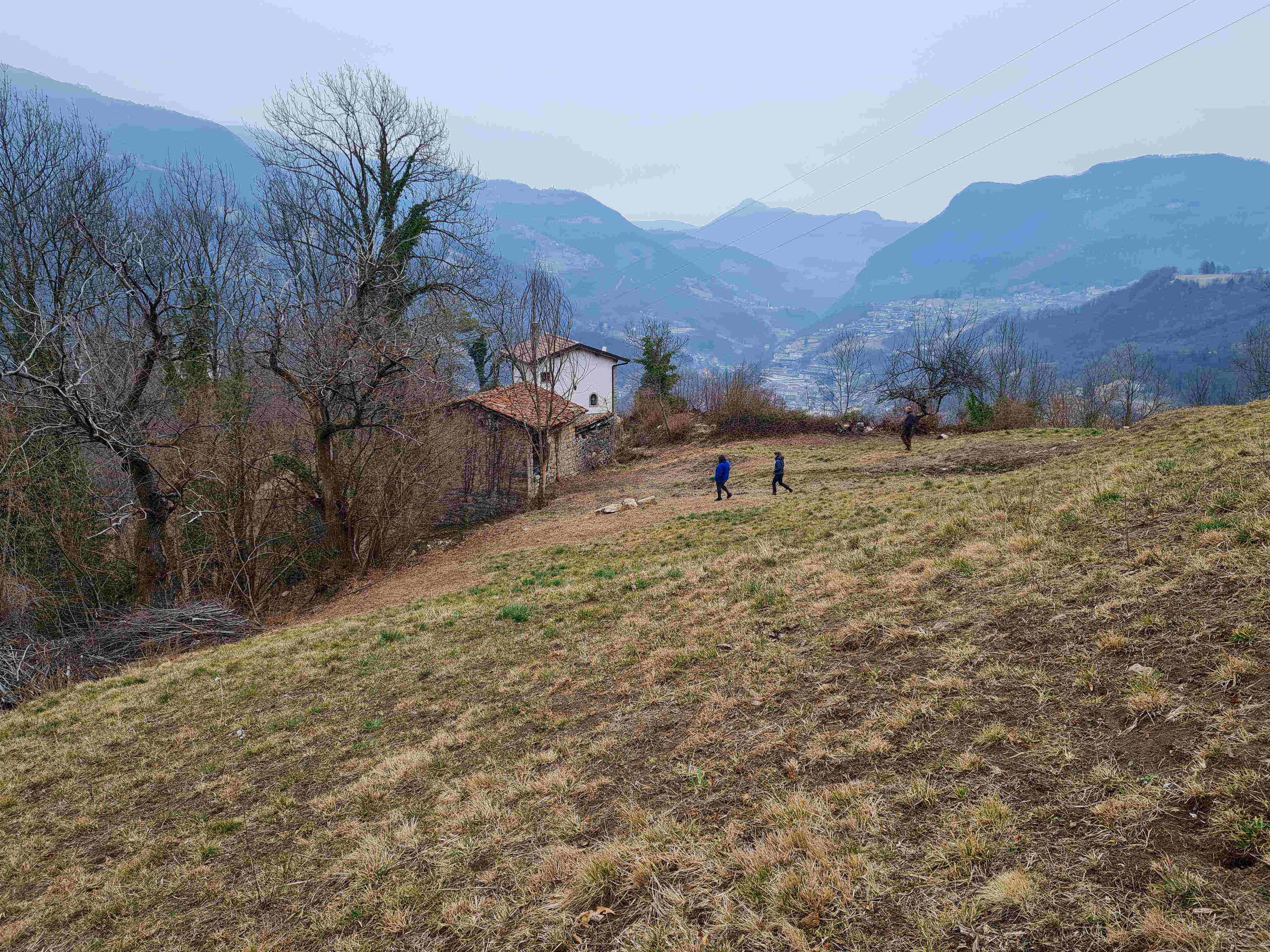Terreno a Blello, Bergamo