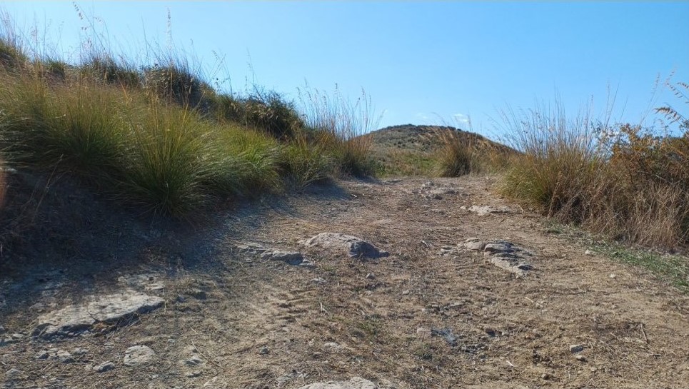 Terreno a Serrenti, Sud Sardegna