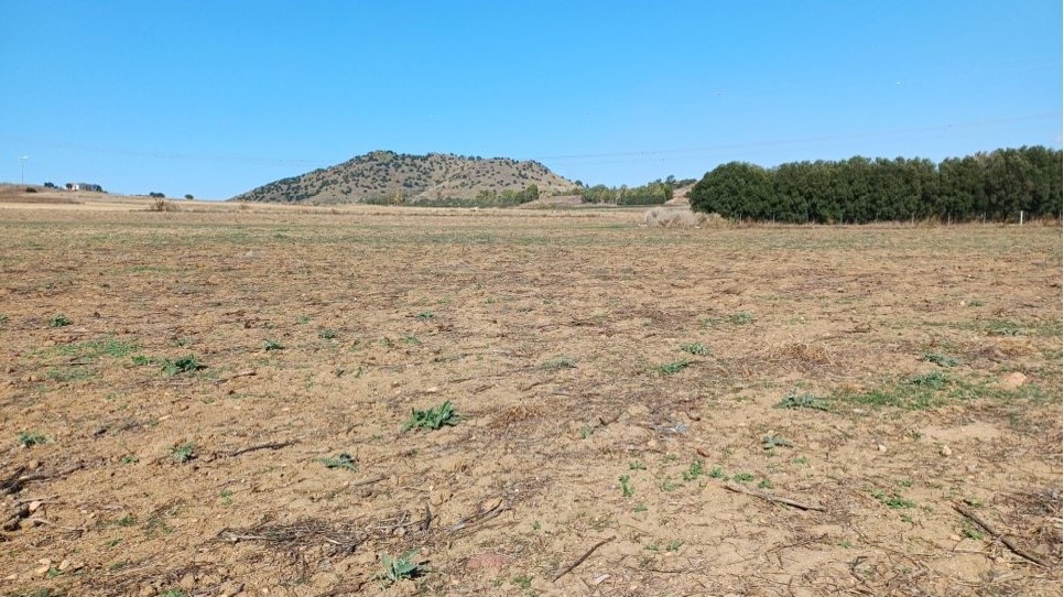 Terreno a Serrenti, Sud Sardegna