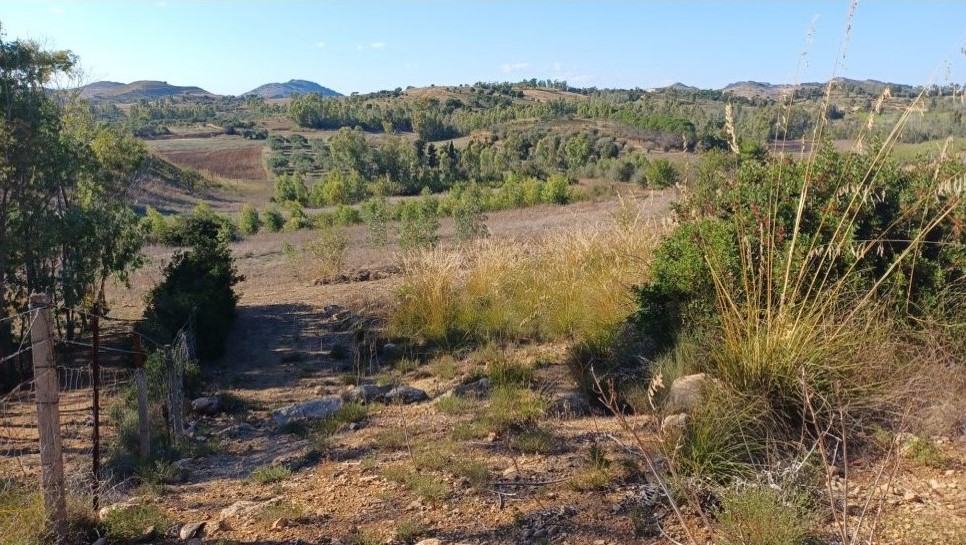 Terreno a Serrenti, Sud Sardegna