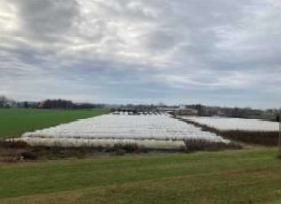 Terreno a Sermide e Felonica, Mantova