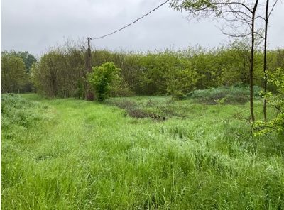 Terreno a Mantova