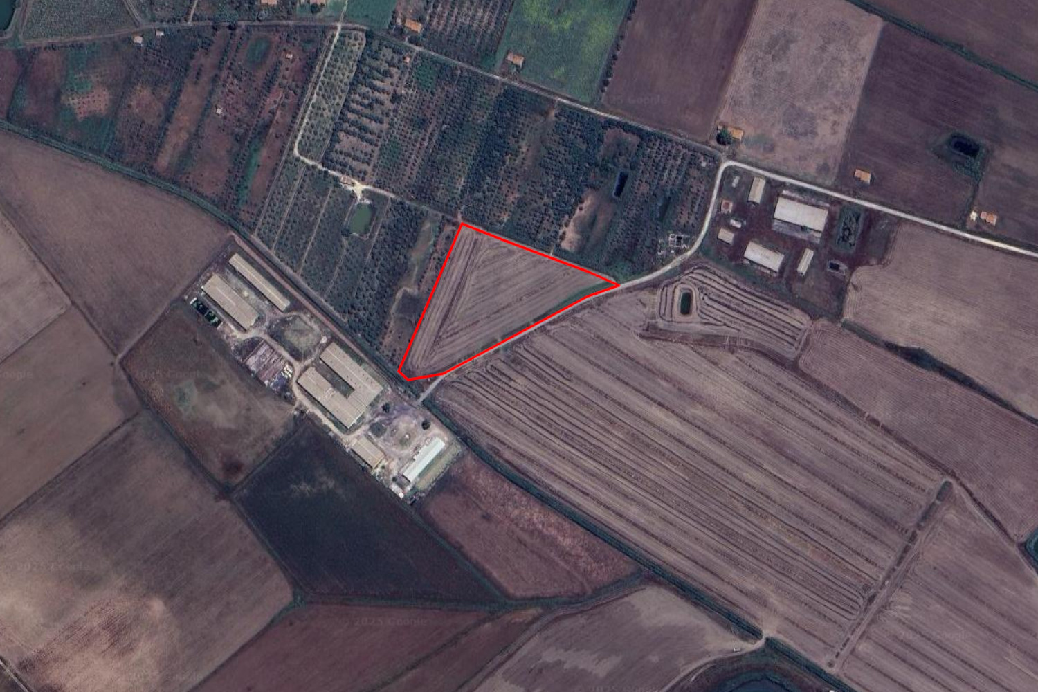Terreno a Lentini, Siracusa