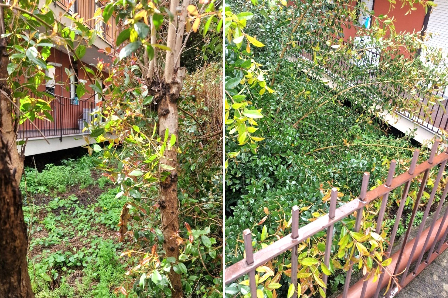 Porzione di immobile a Giarre, Catania