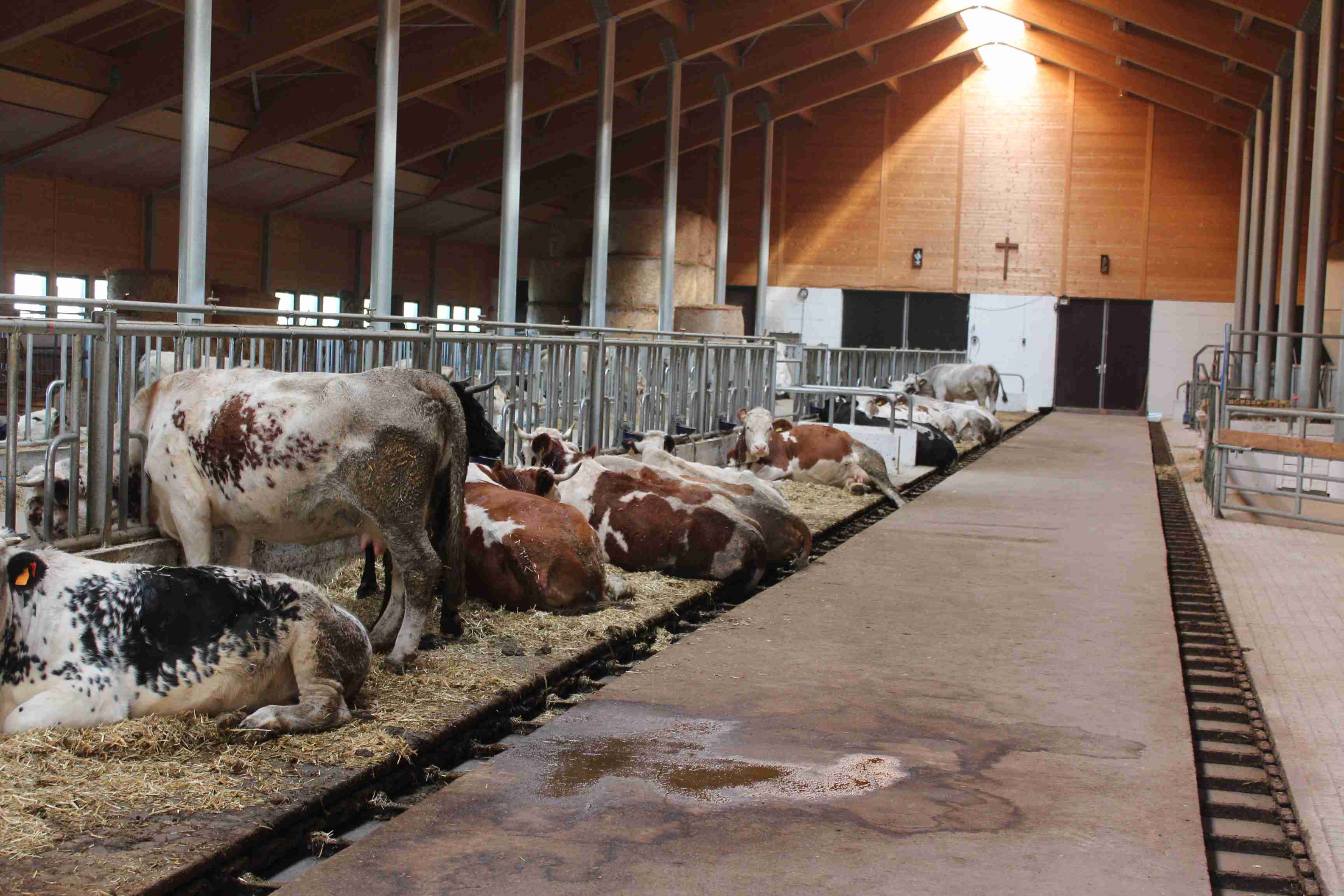 Terreno a Sauze di Cesana, Torino