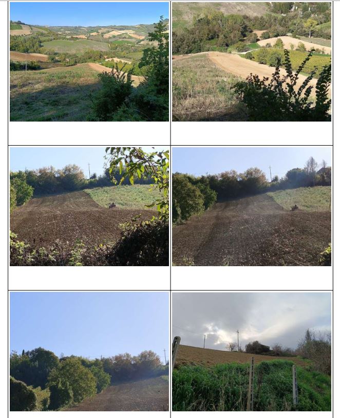 Terreno a Ripatransone, Ascoli Piceno