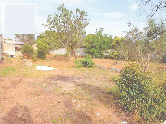 Terreno a Ruffano, Lecce