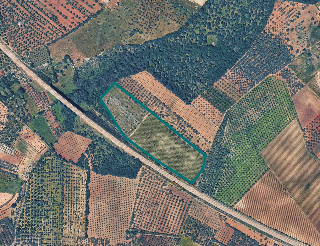 Terreno a Acquaviva delle Fonti, Bari