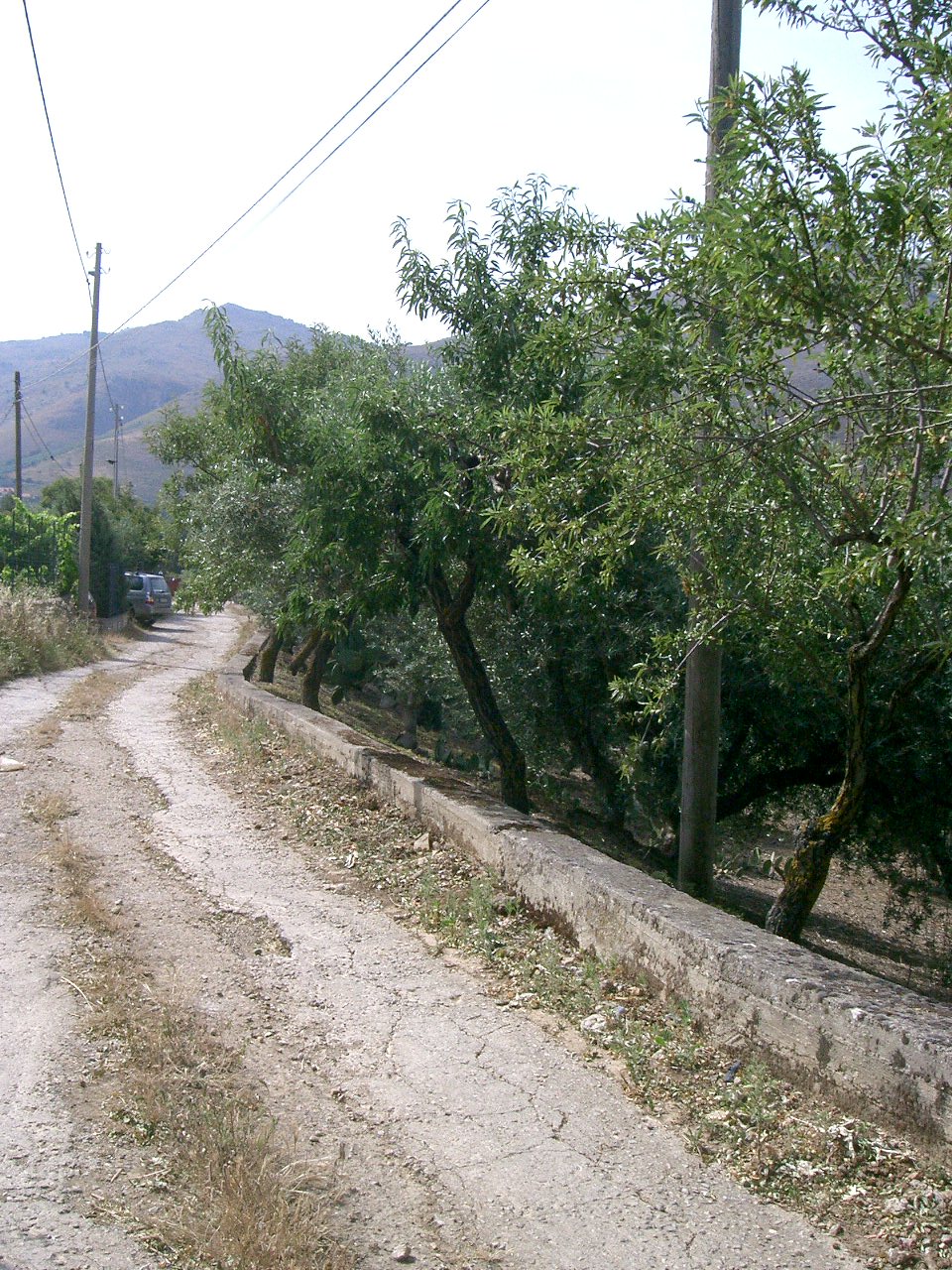 Terreno a Belmonte Mezzagno, Palermo