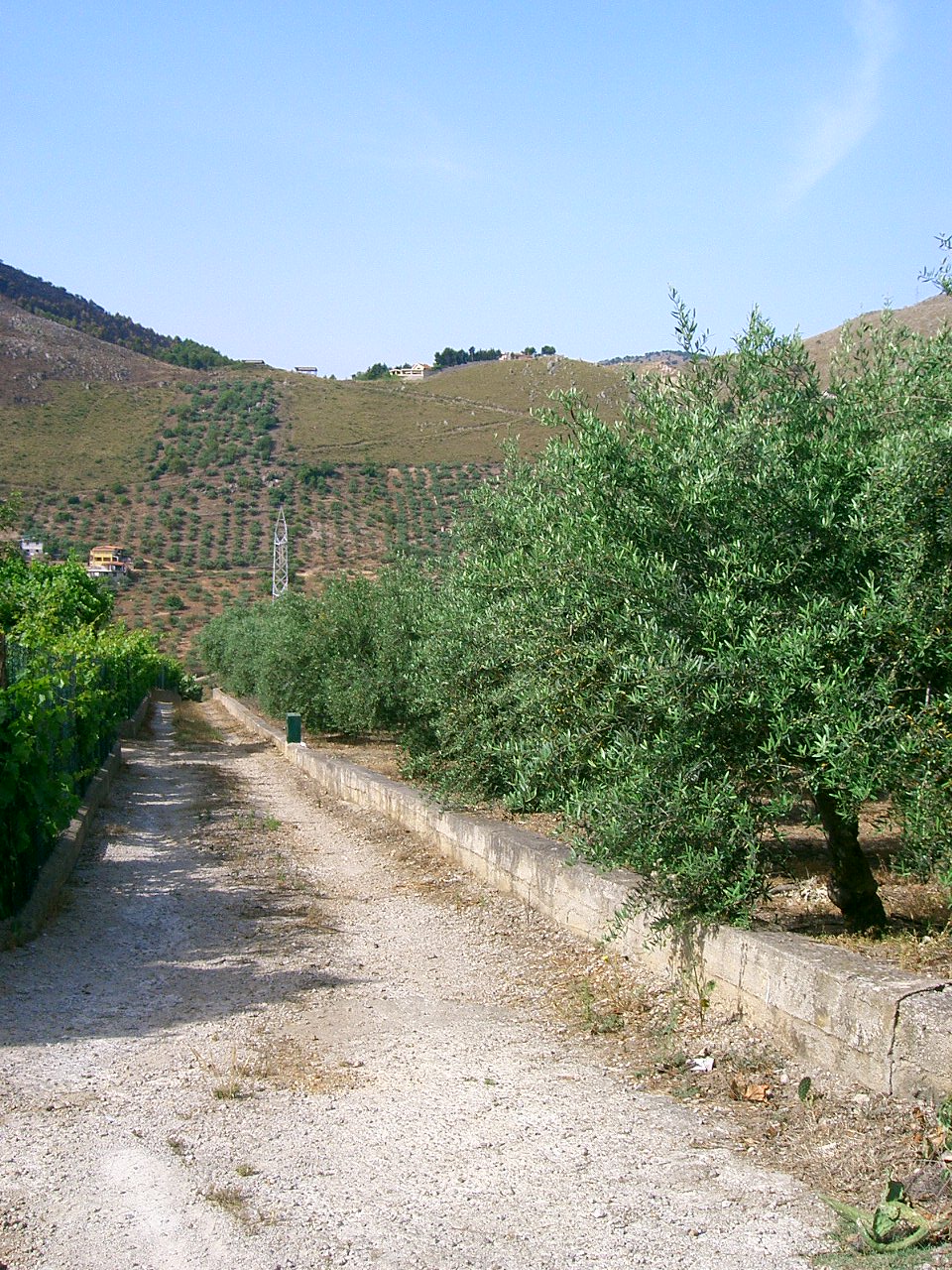 Terreno a Belmonte Mezzagno, Palermo