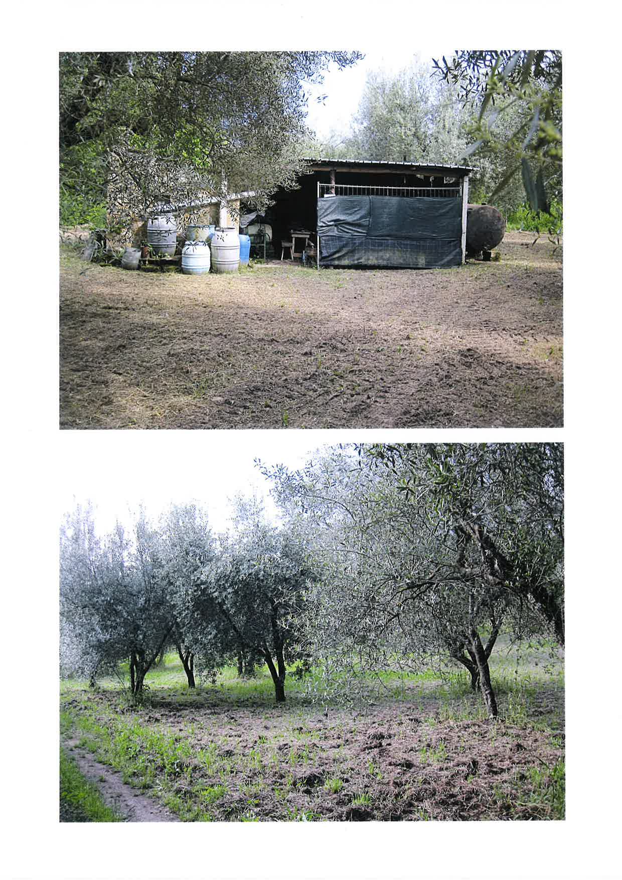 Terreno a Vetralla, Viterbo