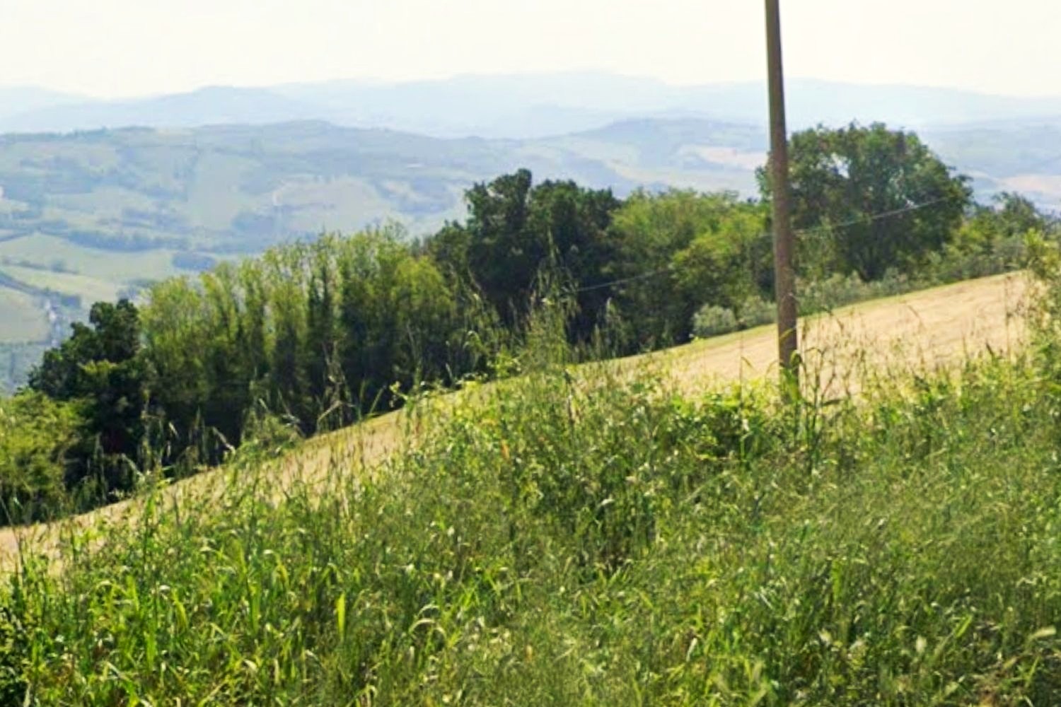 Terreno a Sassocorvaro Auditore, Pesaro e Urbino