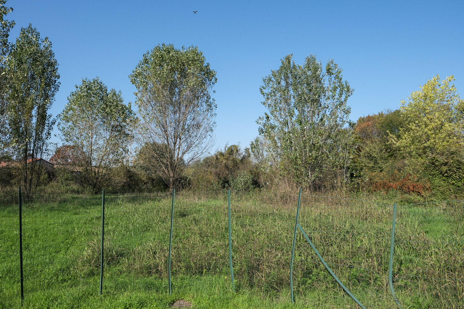 Terreno a Inzago, Milano