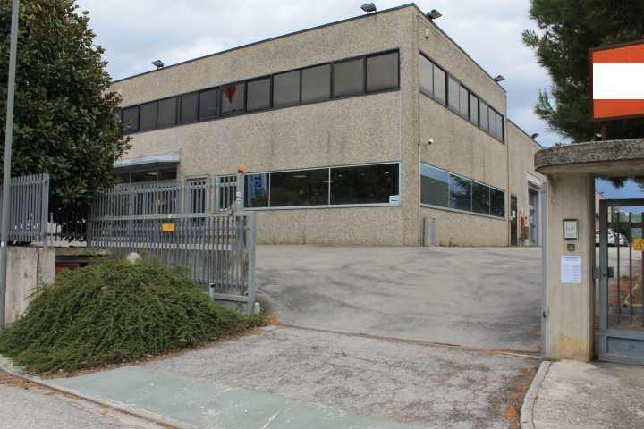 Capannone industriale a Montegranaro, Fermo