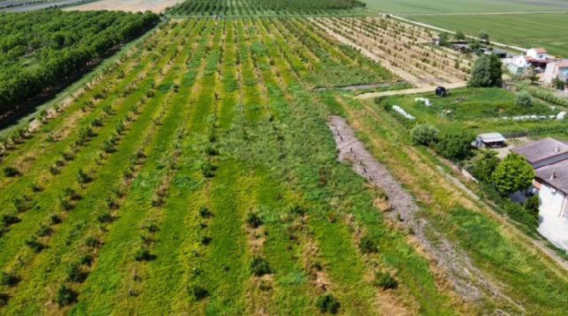 Terreno a Villadose, Rovigo