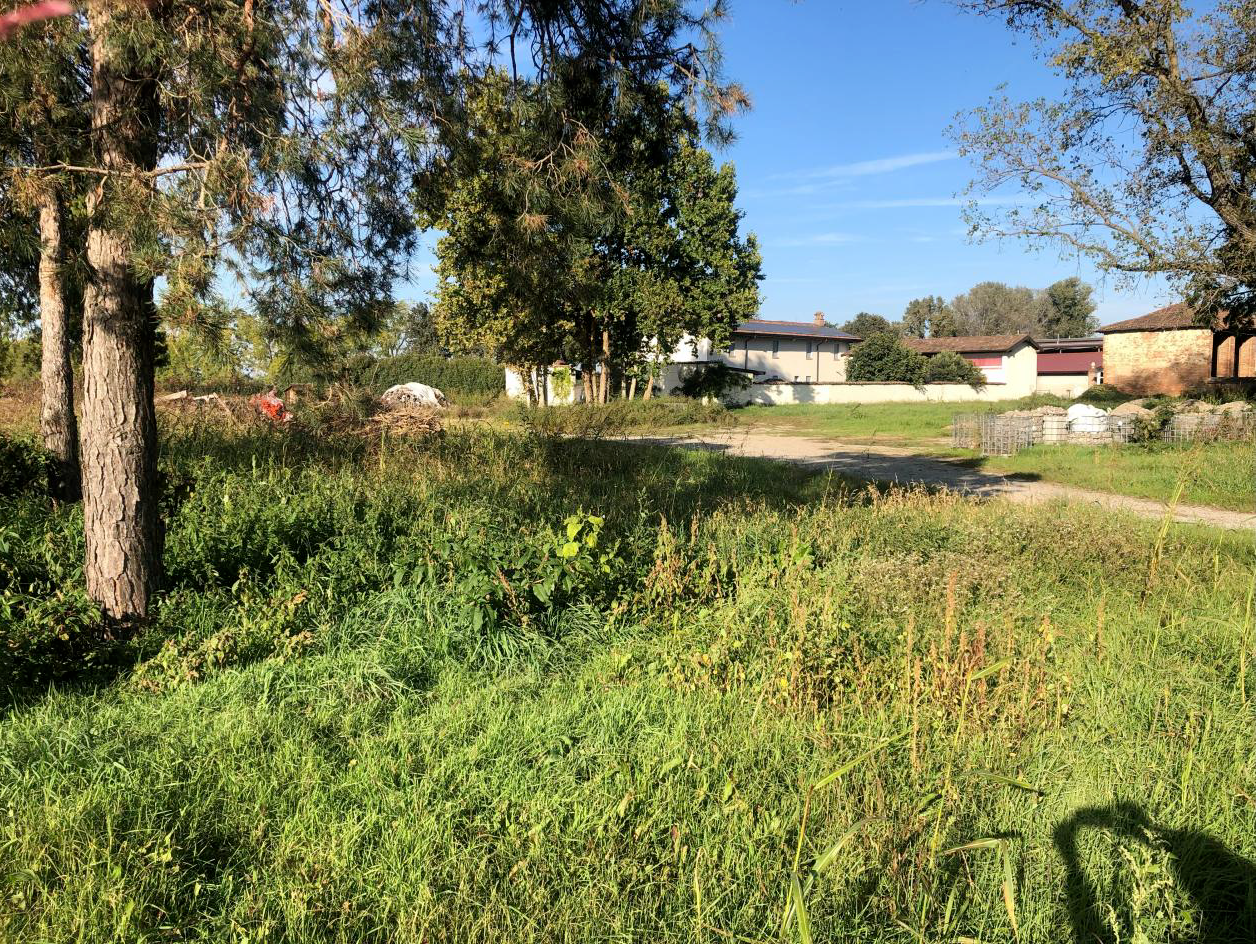 Terreno a Terranova dei Passerini, Lodi