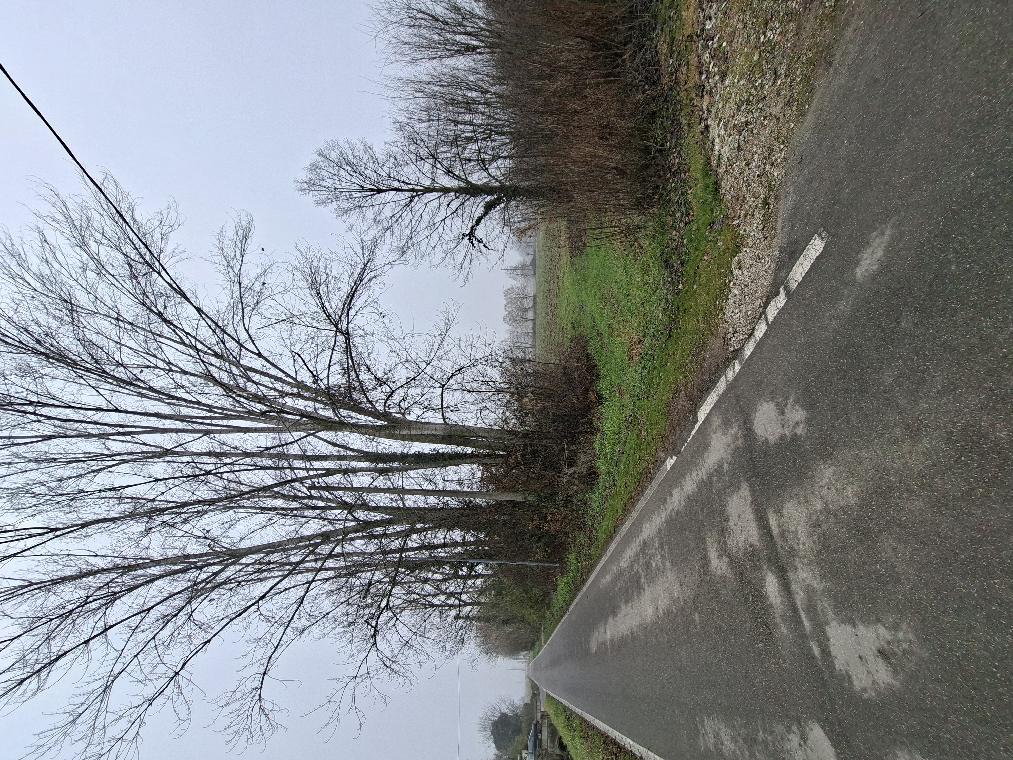 Terreno a Cavezzo, Modena