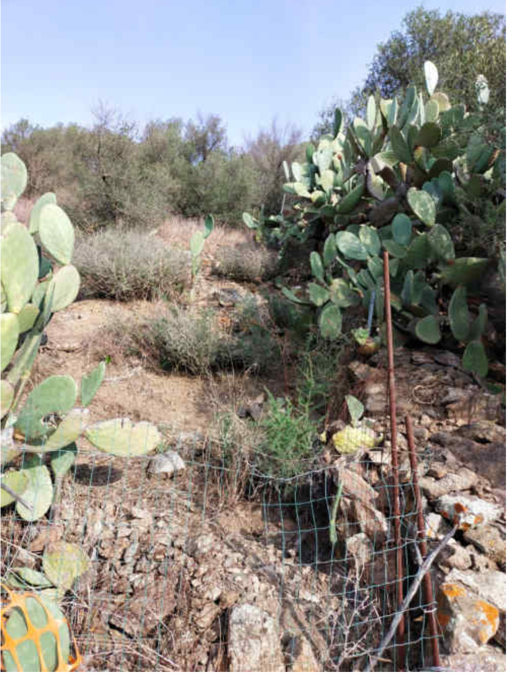 Terreno a Loiri Porto San Paolo, Sassari