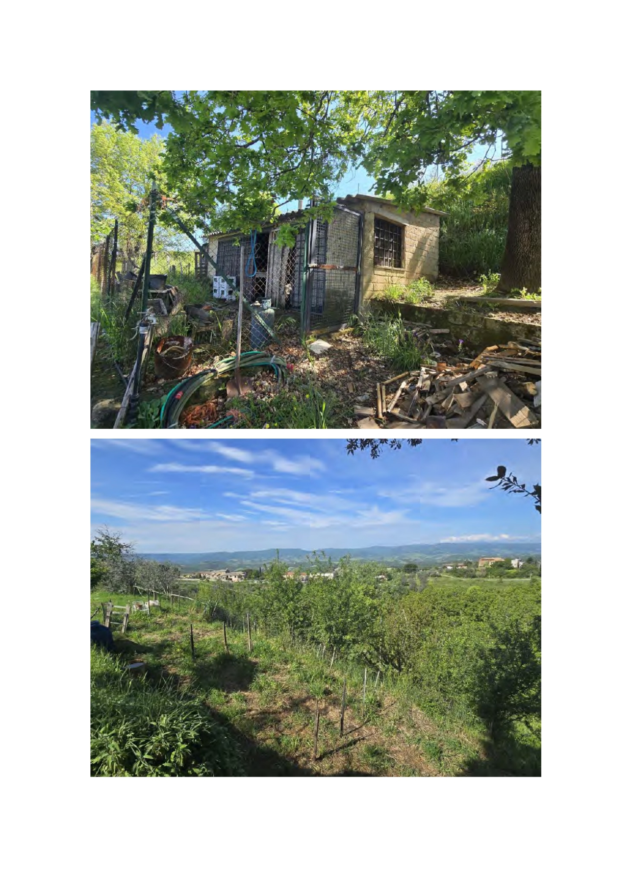 Terreno in Frazione Poccialone, Via… a Ficulle — asta giudiziaria — fotografia 6