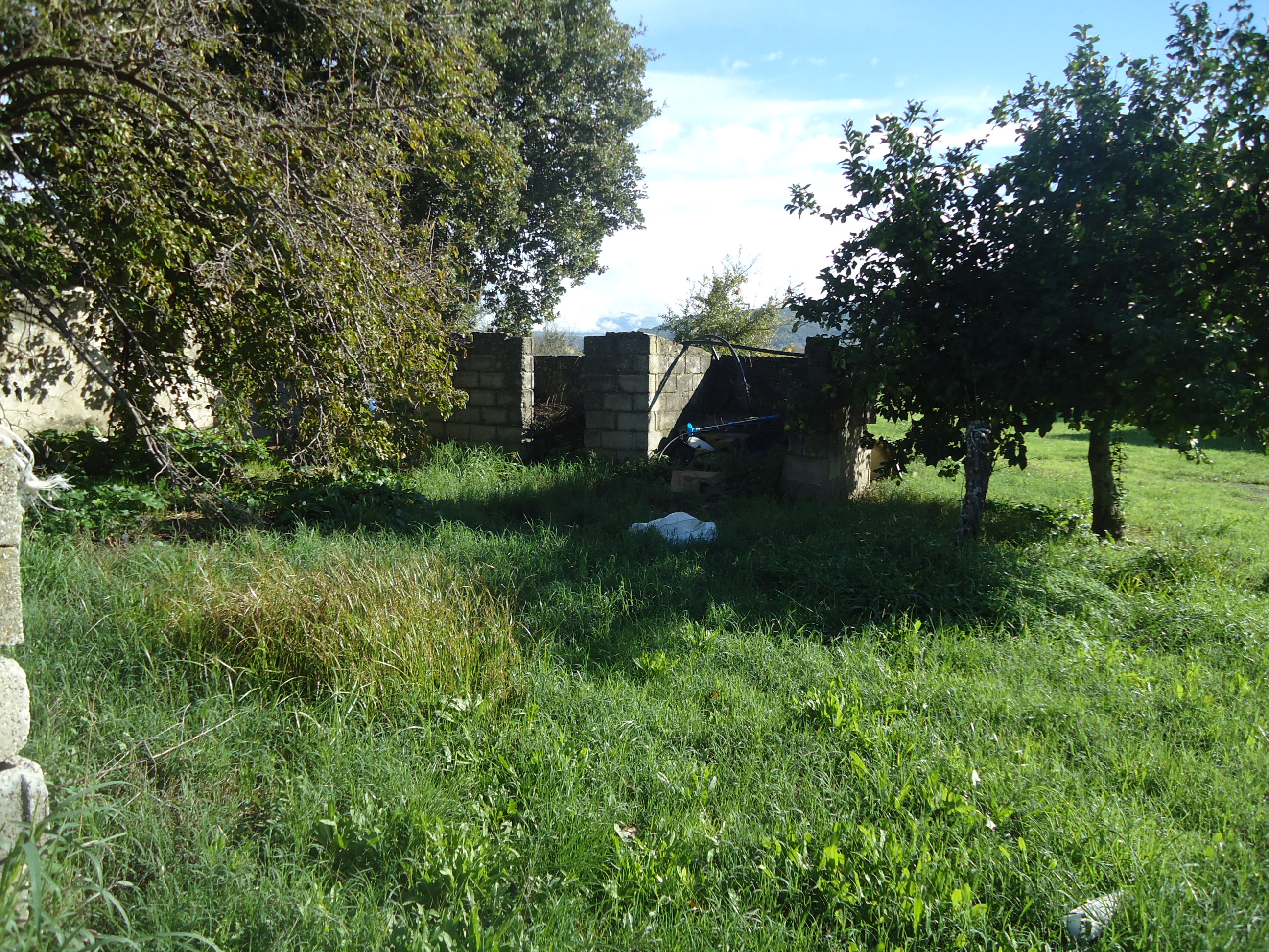 Terreno in Via Giovanni Battista… a Capaccio Paestum — asta giudiziaria — fotografia 4