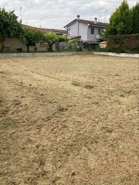 Terreno a Curtatone, Mantova