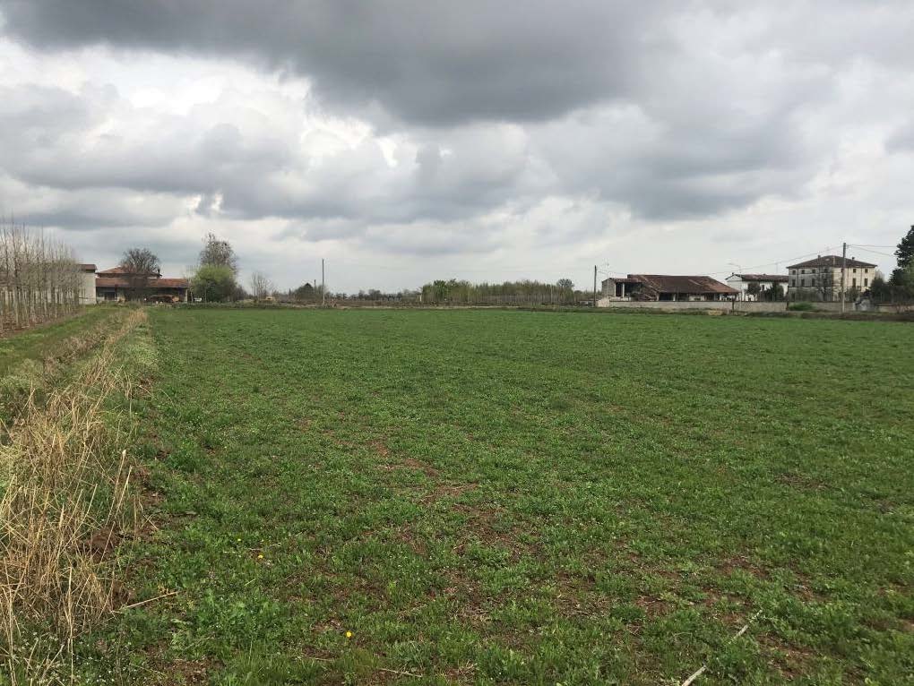 Terreno a Canneto sull'Oglio, Mantova