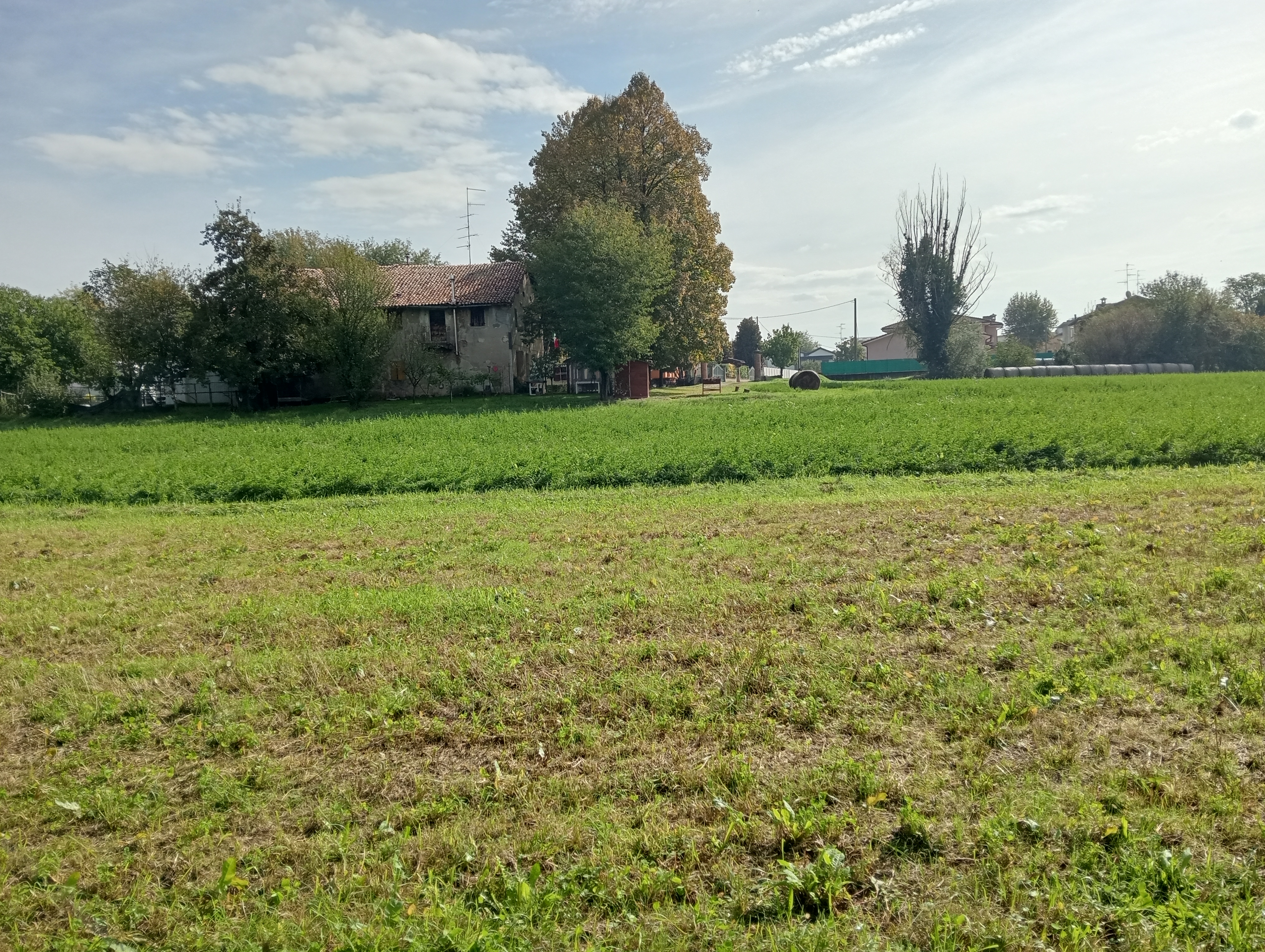 Lotto edificabile in Fg. 28 Part. 71-74-86-127-128-… a Novellara — asta giudiziaria — fotografia 3