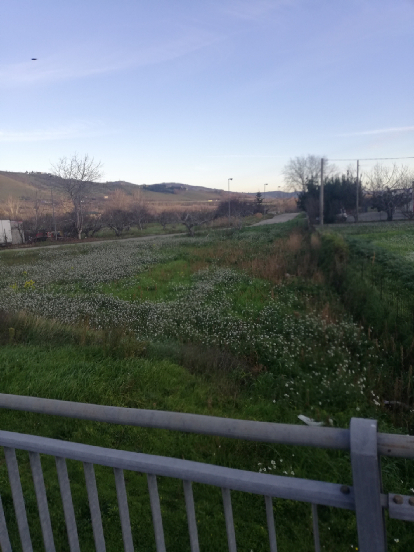 Terreno in Strada Provinciale per… a Tocco da Casauria — asta giudiziaria — fotografia 3
