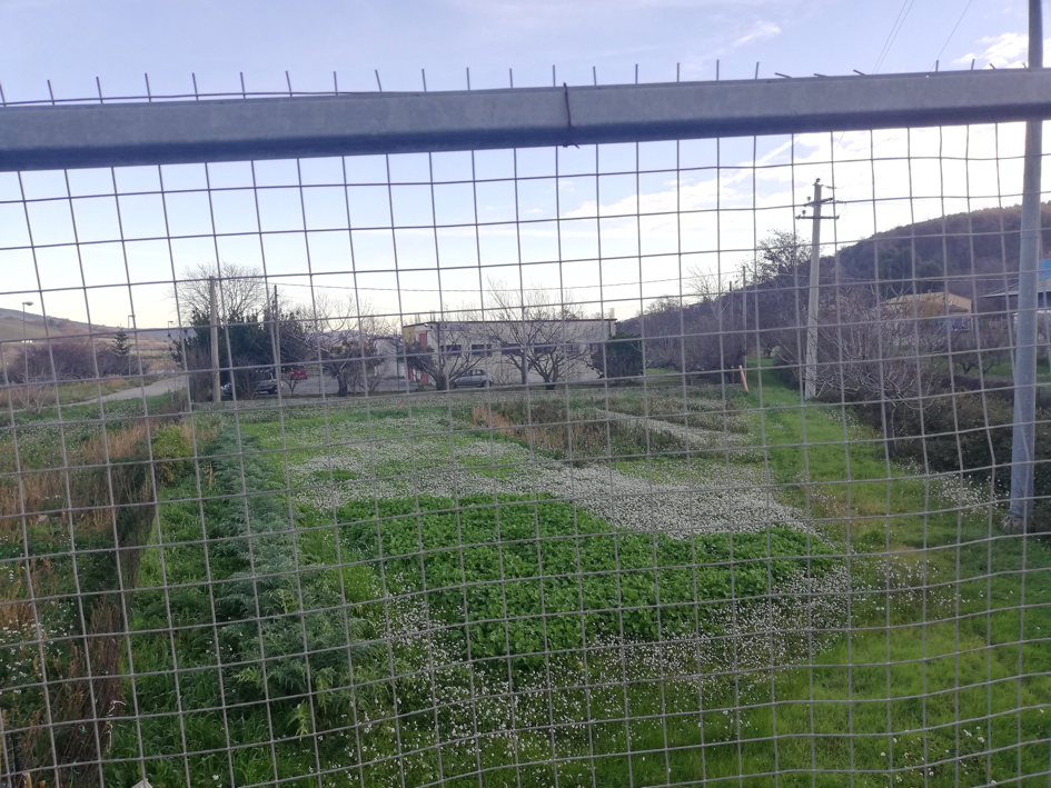 Terreno in Strada Provinciale per… a Tocco da Casauria — asta giudiziaria — fotografia 5