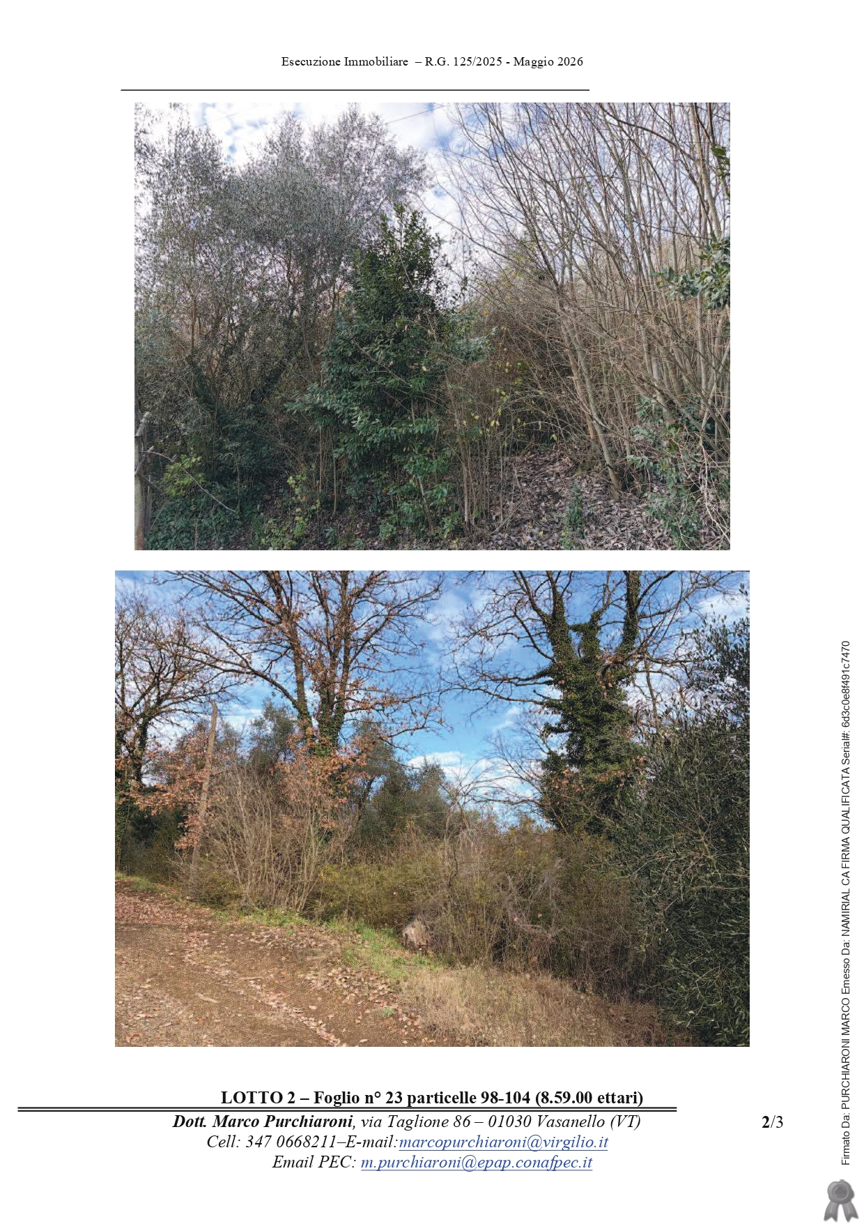 Terreno in Localita' San Liberato snc a Bomarzo — asta giudiziaria — fotografia 3