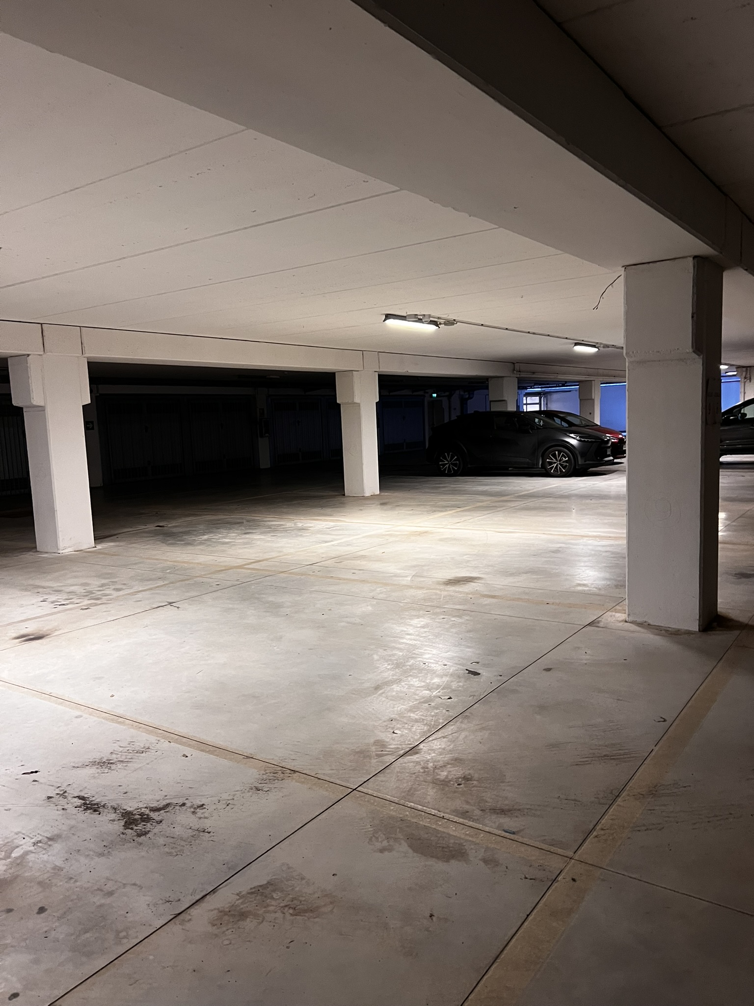 Stalla, scuderia o rimessa a Fermo — 44.438 € — asta giudiziaria — fotografia 3