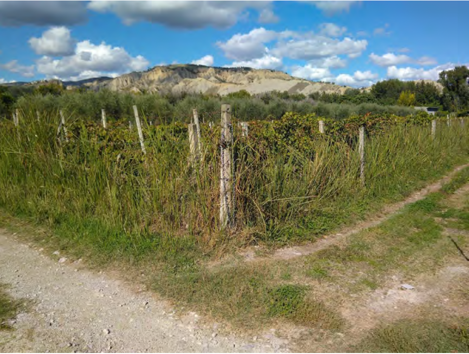 Terreno a Sant'Arcangelo, Potenza