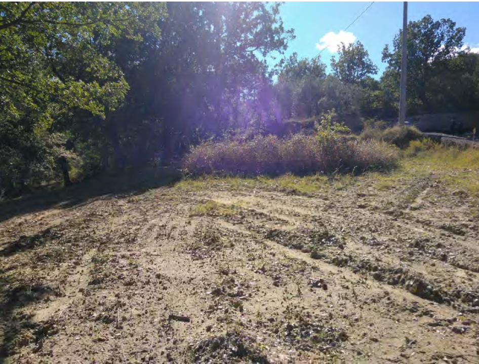 Terreno a Sant'Arcangelo (Potenza) — 11.717 € — asta giudiziaria — fotografia 3