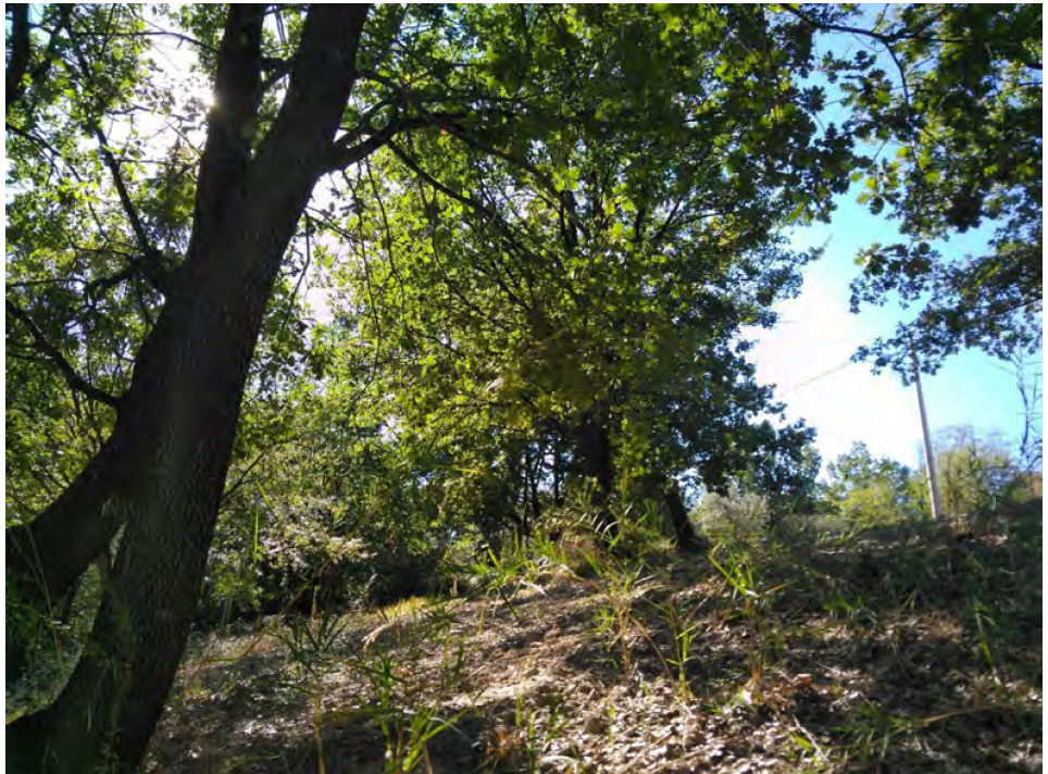 Terreno a Sant'Arcangelo (Potenza) — 11.717 € — asta giudiziaria — fotografia 5