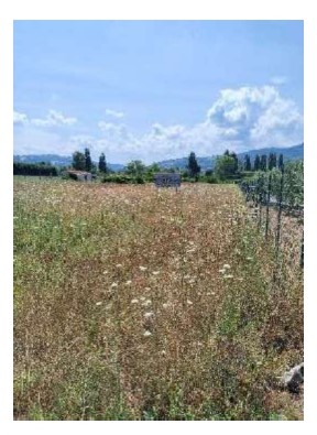 Terreno a Gualdo Tadino, Perugia