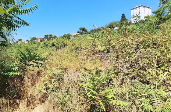 Terreno a Macerata