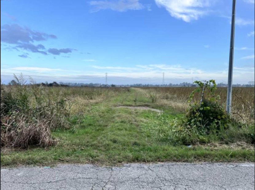 Terreno in Loc. Mazzorno Sinistro, Via… a Adria — asta giudiziaria — fotografia 4