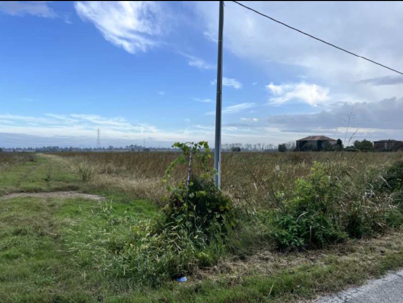 Terreno in Loc. Mazzorno Sinistro, Via… a Adria — asta giudiziaria — fotografia 5