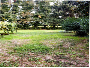 Magazzino o deposito in Via Xxviii -28- Aprile, snc a Vescovana — asta giudiziaria — fotografia 4