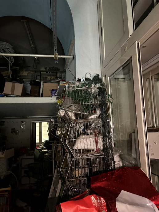 Negozio in Via Marco Aurelio Severino, 39 a Napoli — asta giudiziaria — fotografia 6
