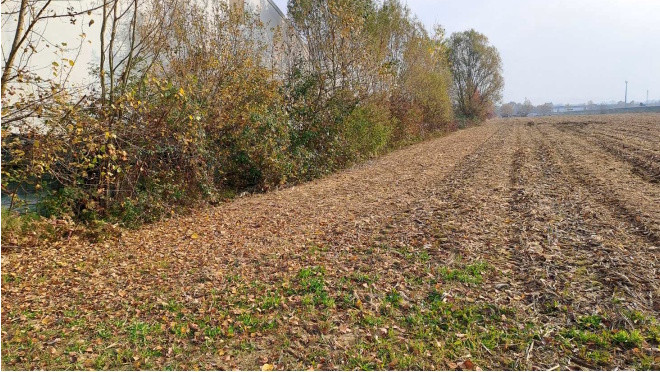 Terreno a Fiume Veneto, Pordenone